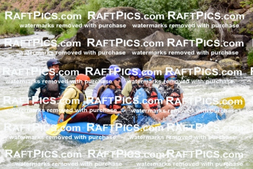 003118_July-16_New-Wave_RAFT-PICS_Racecourse-PM-_LA-Rui-_LES9539