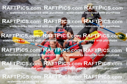 July_15_LosRios_Racecourse_PM_Raphael_TC_019290