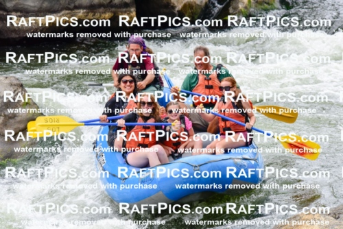 003799_July-18_LOS-RIOS_RAFT-PICS_Racecourse-PM-SHAYAM_LA