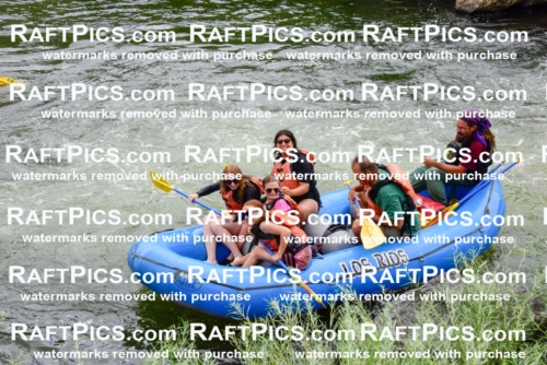 003813_July-18_LOS-RIOS_RAFT-PICS_Racecourse-PM-SHAYAM_LA