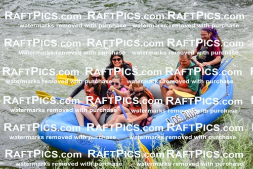 003814_July-18_LOS-RIOS_RAFT-PICS_Racecourse-PM-SHAYAM_LA