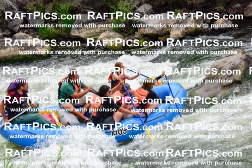 003818_July-18_LOS-RIOS_RAFT-PICS_Racecourse-PM-SHAYAM_LA