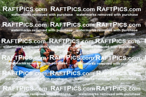 003819_July-18_LOS-RIOS_RAFT-PICS_Racecourse-PM-SHAYAM_LA