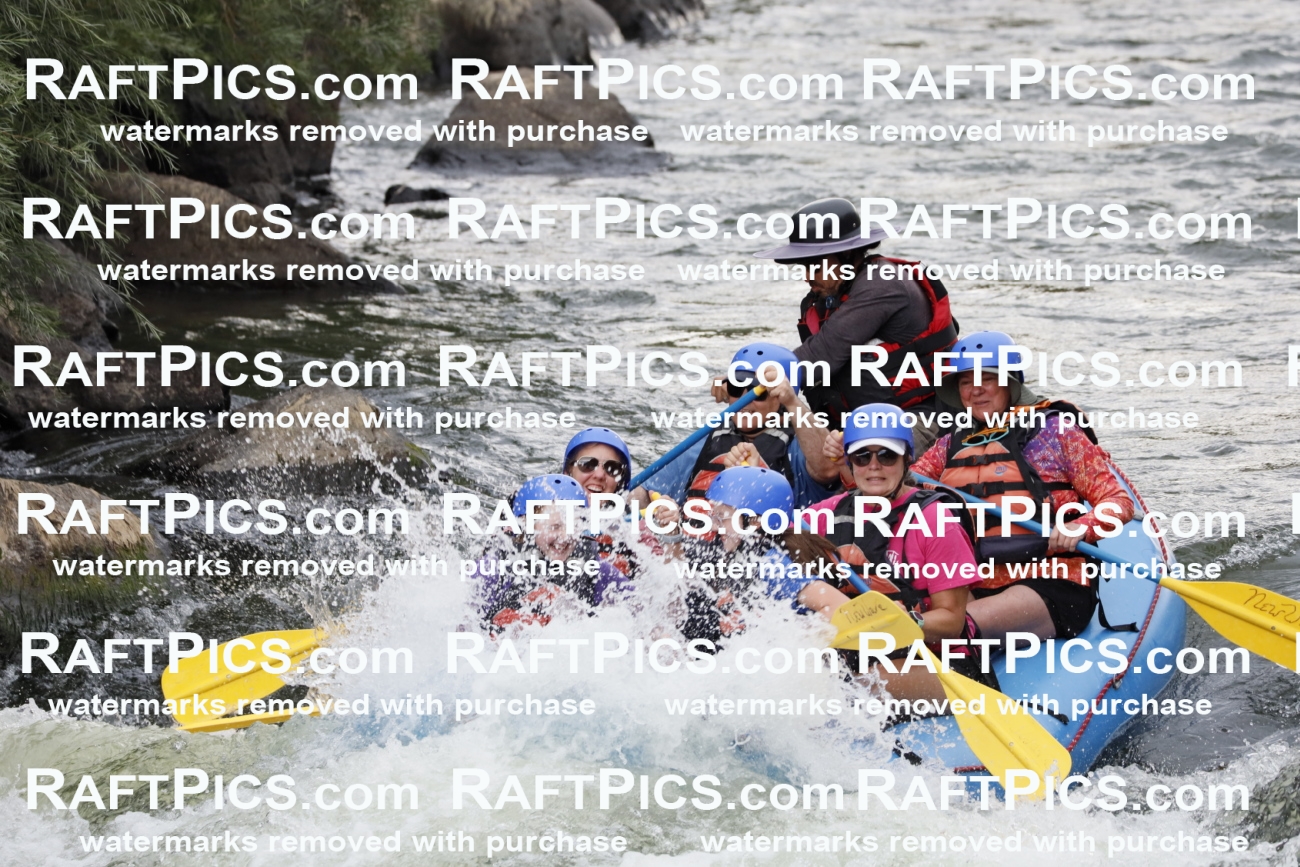 000151_July-18_NewWave_RAFTPICS_Racecourse_PM_SW_ELIAS