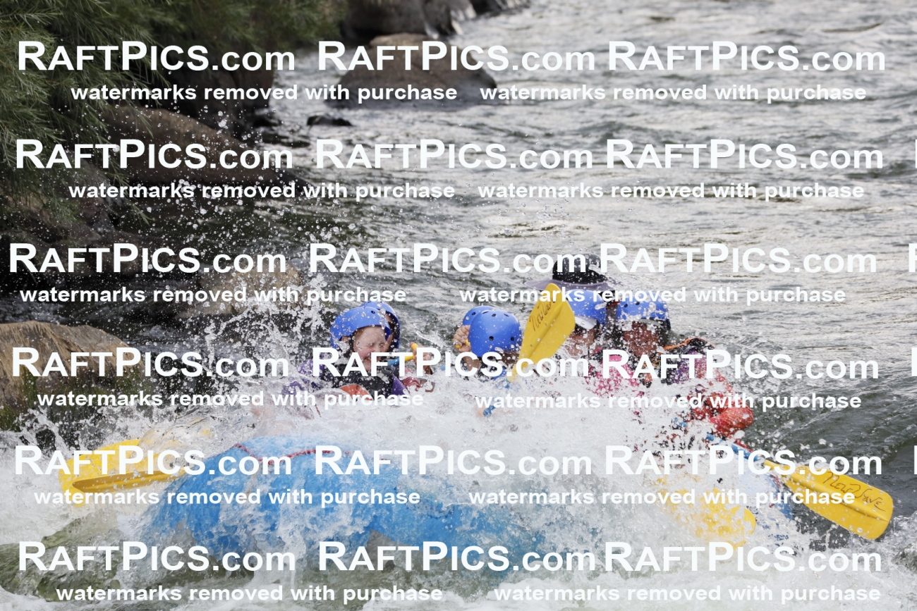 000152_July-18_NewWave_RAFTPICS_Racecourse_PM_SW_ELIAS