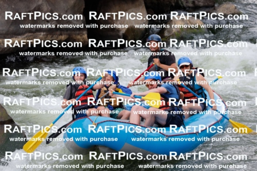 000198_July-18_NewWave_RAFTPICS_Racecourse_PM_SW_RUI