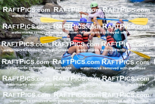 004071_July-18_NewWave_RAFT-PICS_Racecourse-PM-LA_ORlando