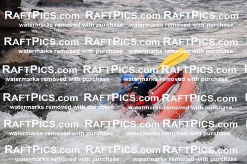 000216_July-18_NewWave_RAFTPICS_Racecourse_PM_SW_FUNYAK1