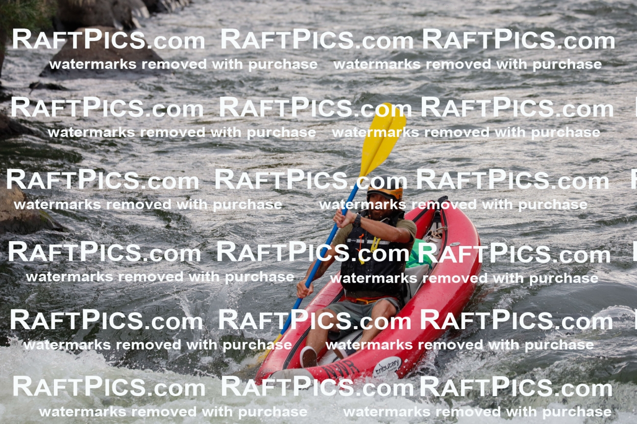 000247_July-18_NewWave_RAFTPICS_Racecourse_PM_SW_FUNYAK3