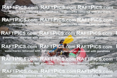 000248_July-18_NewWave_RAFTPICS_Racecourse_PM_SW_FUNYAK3