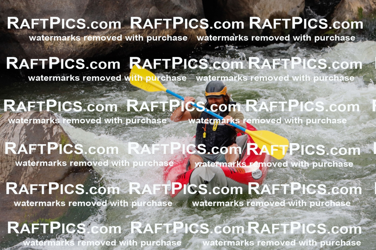 000256_July-18_NewWave_RAFTPICS_Racecourse_PM_SW_FUNYAK3