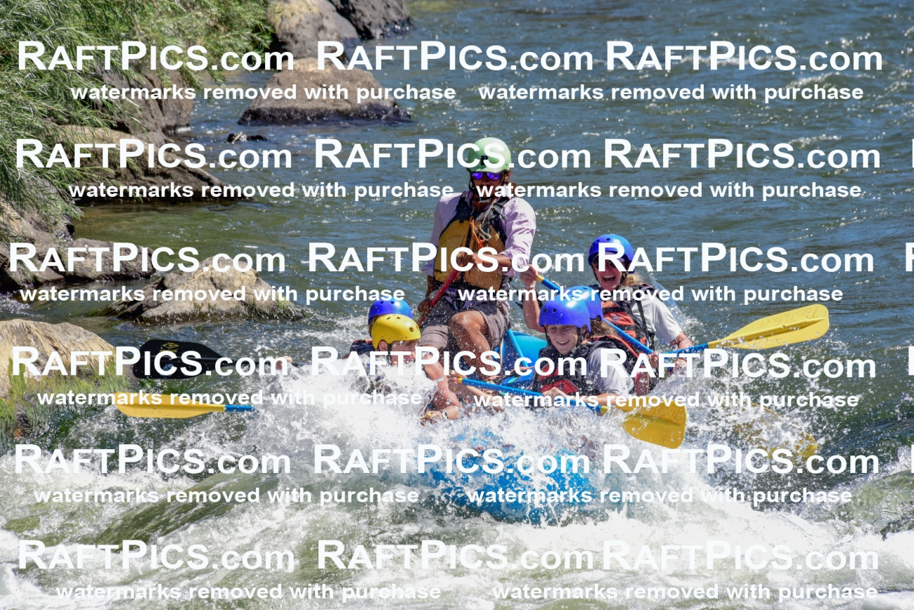 004251_July-18_NewWave_RAFTPICS_Racecourse-AM_LA-Brian