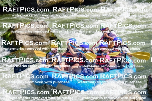 004267_July-18_NewWave_RAFTPICS_Racecourse-AM_LA-Brian