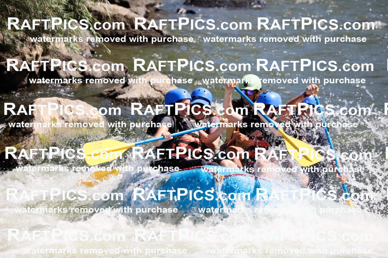 020267_RaftPics_July_19_NewWave_Racecourse_AM_Orlando_TC_