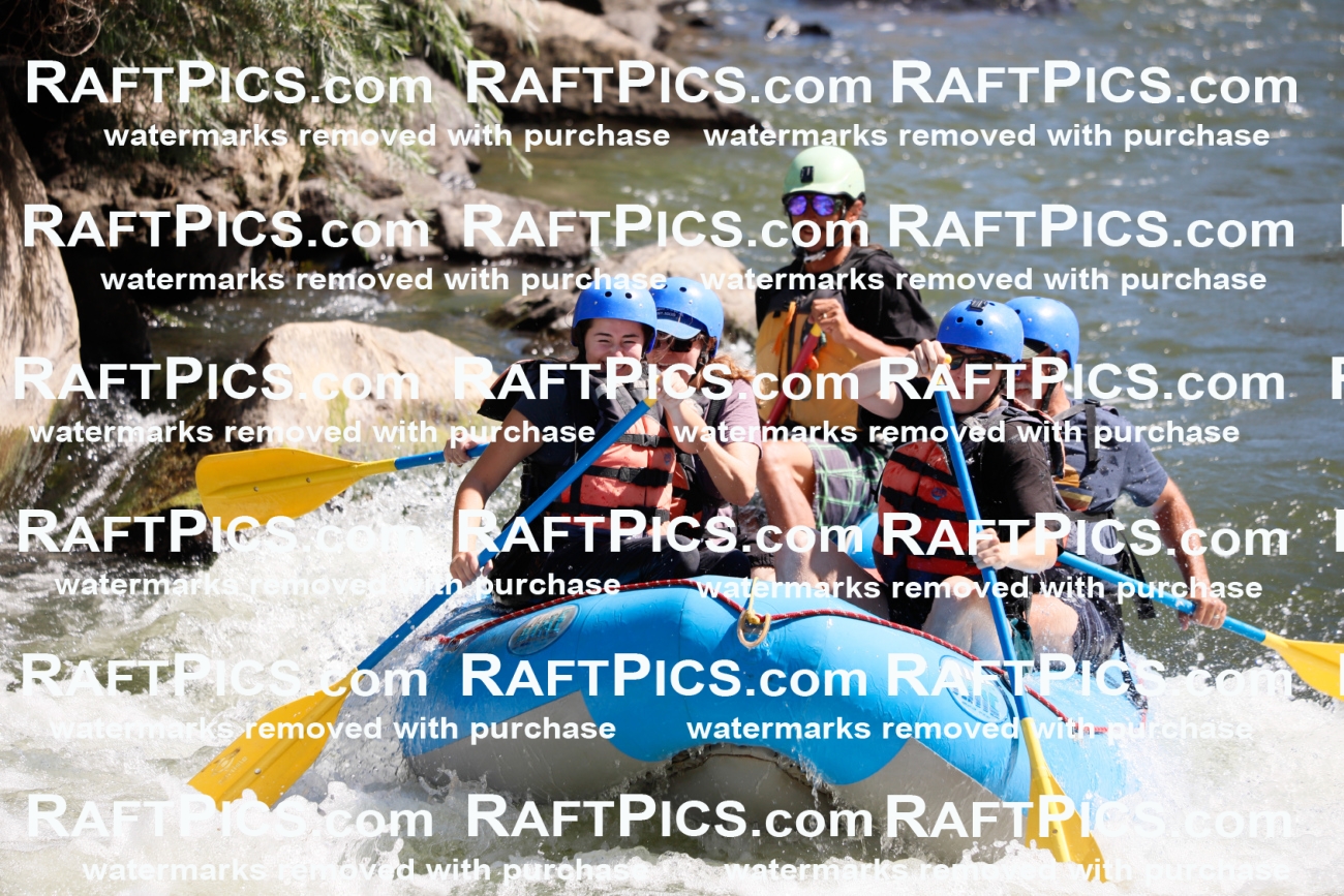 020270_RaftPics_July_19_NewWave_Racecourse_AM_Orlando_TC_