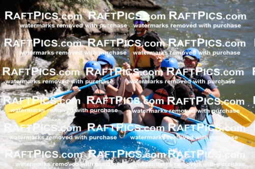 020273_RaftPics_July_19_NewWave_Racecourse_AM_Orlando_TC_