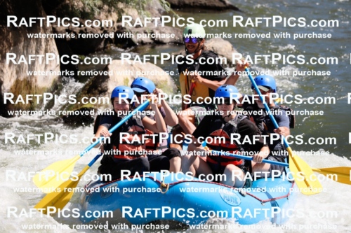 020274_RaftPics_July_19_NewWave_Racecourse_AM_Orlando_TC_