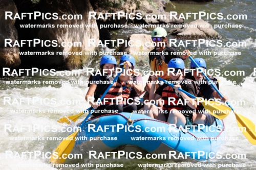 020277_RaftPics_July_19_NewWave_Racecourse_AM_Orlando_TC_