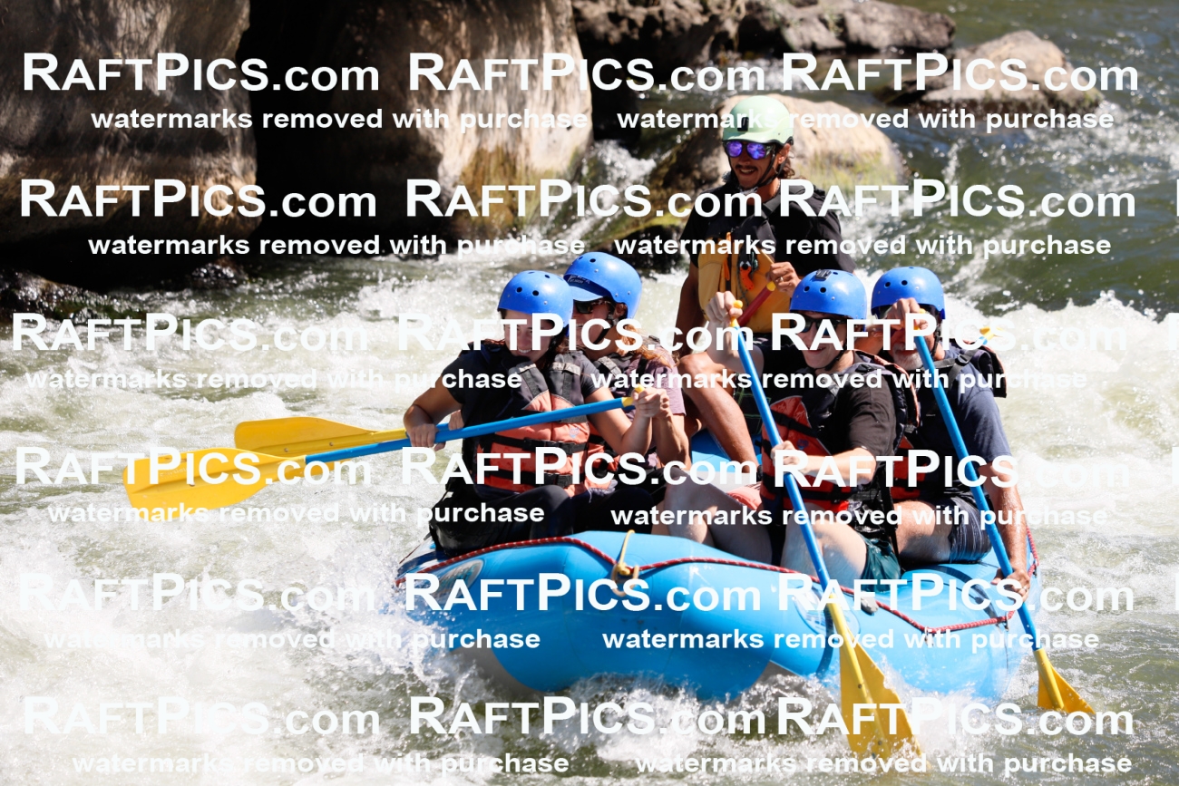 020280_RaftPics_July_19_NewWave_Racecourse_AM_Orlando_TC_