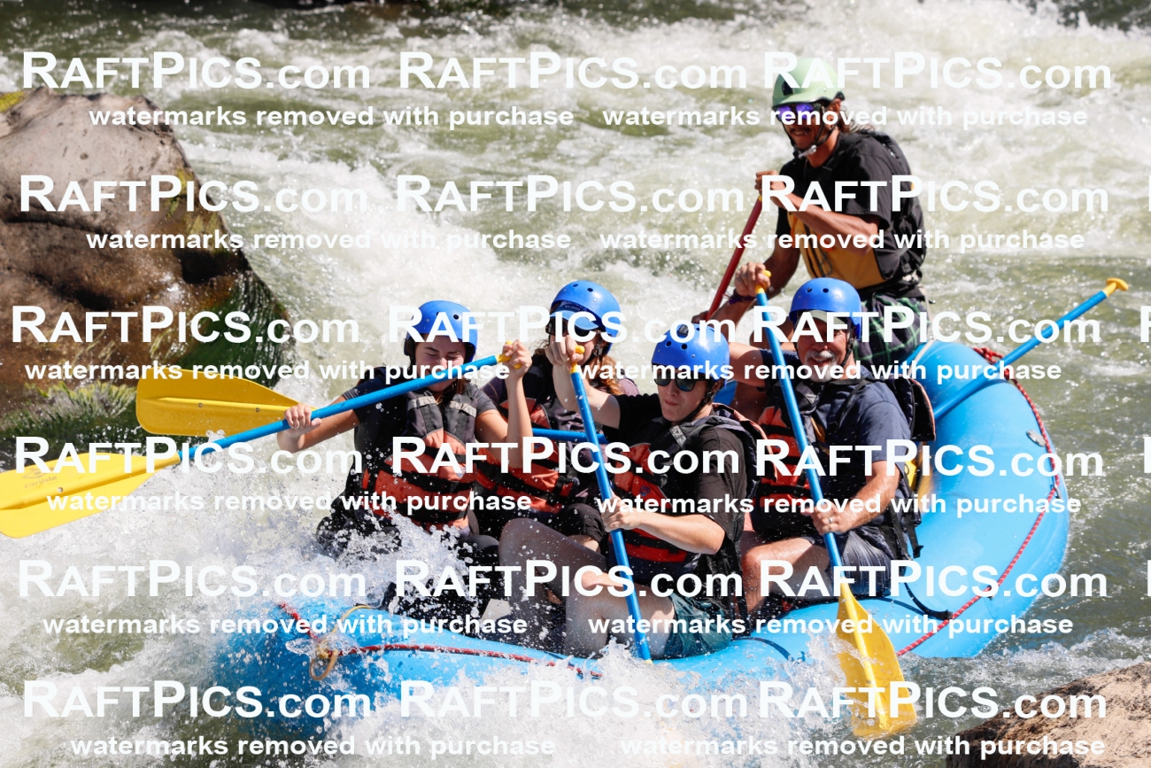 020289_RaftPics_July_19_NewWave_Racecourse_AM_Orlando_TC_