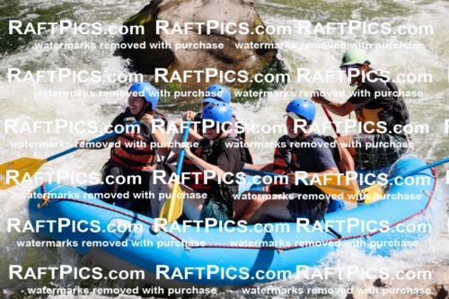 020294_RaftPics_July_19_NewWave_Racecourse_AM_Orlando_TC_