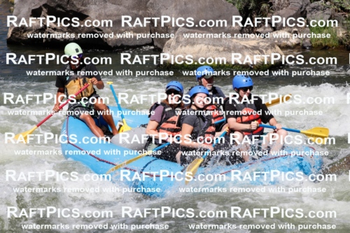 020297_RaftPics_July_19_NewWave_Racecourse_AM_Orlando_TC_