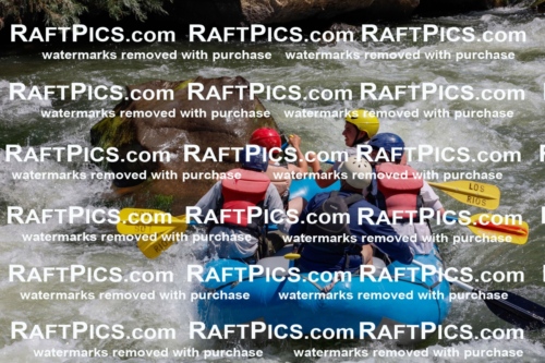 000545_July-19_LosRios_RAFTPICS_Racecourse_AM_SW_Dano