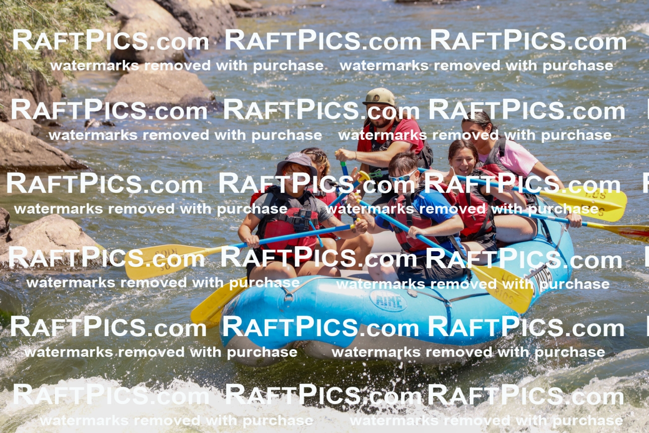 000642_July-19_LosRios_RAFTPICS_Racecourse_AM_SW_Raphael