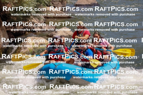 000647_July-19_LosRios_RAFTPICS_Racecourse_AM_SW_Raphael