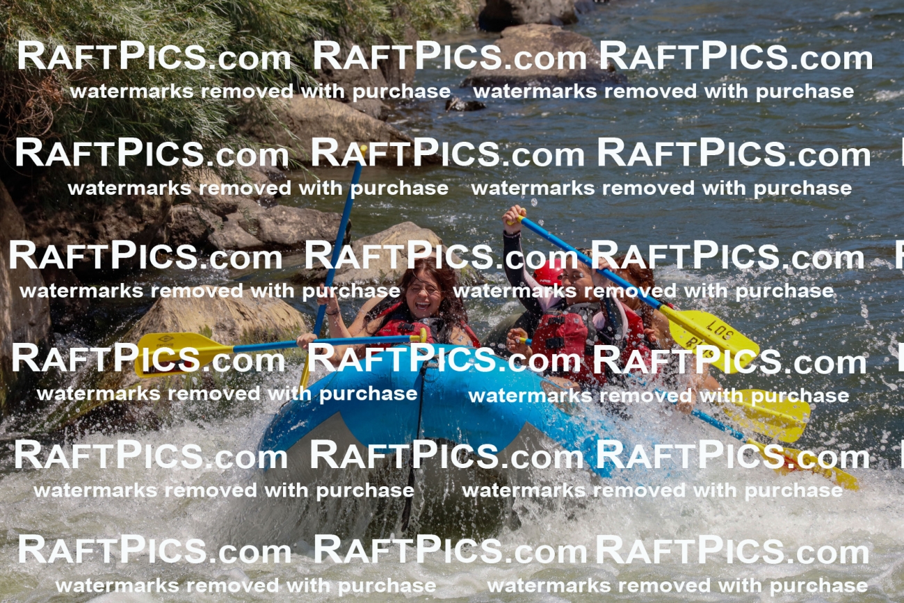 000671_July-19_LosRios_RAFTPICS_Racecourse_AM_SW_Robby