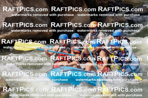 000756_July-19_NewWave_RAFTPICS_Racecourse_PM_SW_Ben