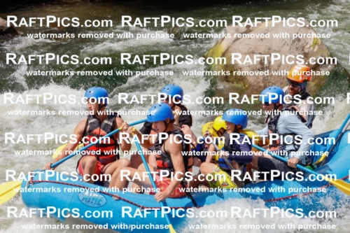 000764_July-19_NewWave_RAFTPICS_Racecourse_PM_SW_Ben