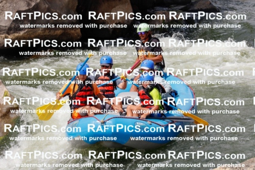 000790_July-19_NewWave_RAFTPICS_Racecourse_PM_SW_Orlando