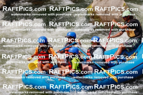 000798_July-19_NewWave_RAFTPICS_Racecourse_PM_SW_Orlando