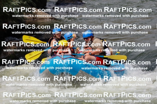 000813_July-19_NewWave_RAFTPICS_Racecourse_PM_SW_Rui