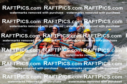 000817_July-19_NewWave_RAFTPICS_Racecourse_PM_SW_Rui