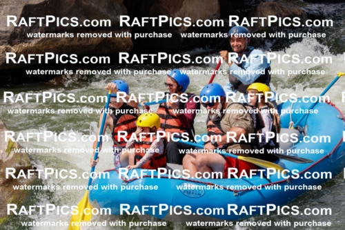 000824_July-19_NewWave_RAFTPICS_Racecourse_PM_SW_Rui