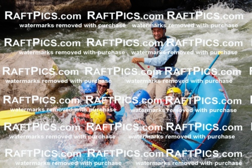 000827_July-19_NewWave_RAFTPICS_Racecourse_PM_SW_Rui