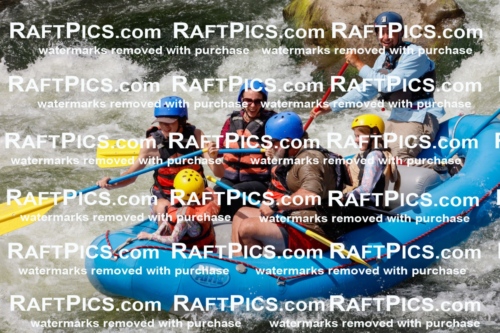 000831_July-19_NewWave_RAFTPICS_Racecourse_PM_SW_Rui