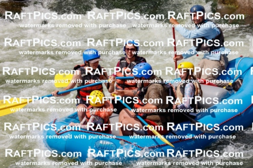 000832_July-19_NewWave_RAFTPICS_Racecourse_PM_SW_Rui