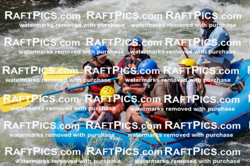 000833_July-19_NewWave_RAFTPICS_Racecourse_PM_SW_Rui