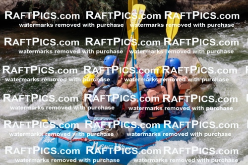 000836_July-19_NewWave_RAFTPICS_Racecourse_PM_SW_Rui