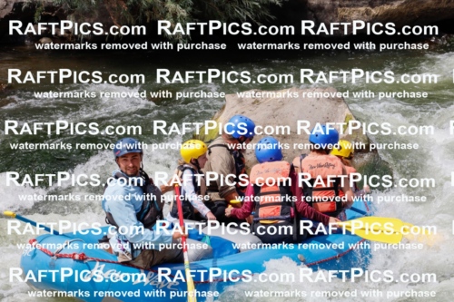 000837_July-19_NewWave_RAFTPICS_Racecourse_PM_SW_Rui