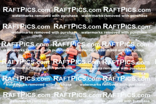 000839_July-19_NewWave_RAFTPICS_Racecourse_PM_SW_Rui