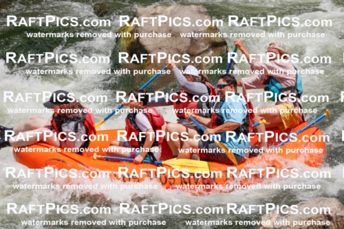 020577_RaftPics_July_20_LosRios_Racecourse_AM_Abe_TC_