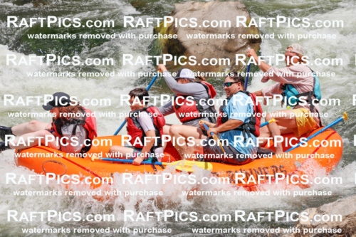 020578_RaftPics_July_20_LosRios_Racecourse_AM_Abe_TC_