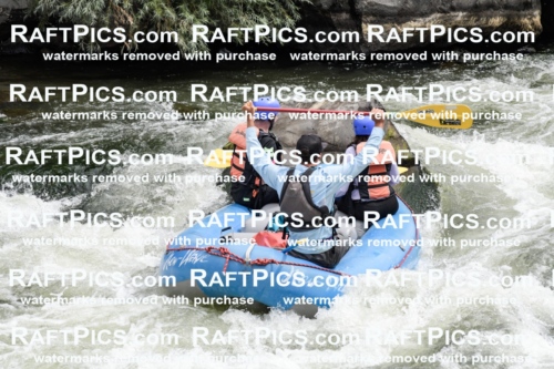 021556_RaftPics_July_21_NewWave_Racecourse_AM_Rui_KA_