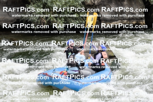 021565_RaftPics_July_21_NewWave_Racecourse_AM_Rui_KA_