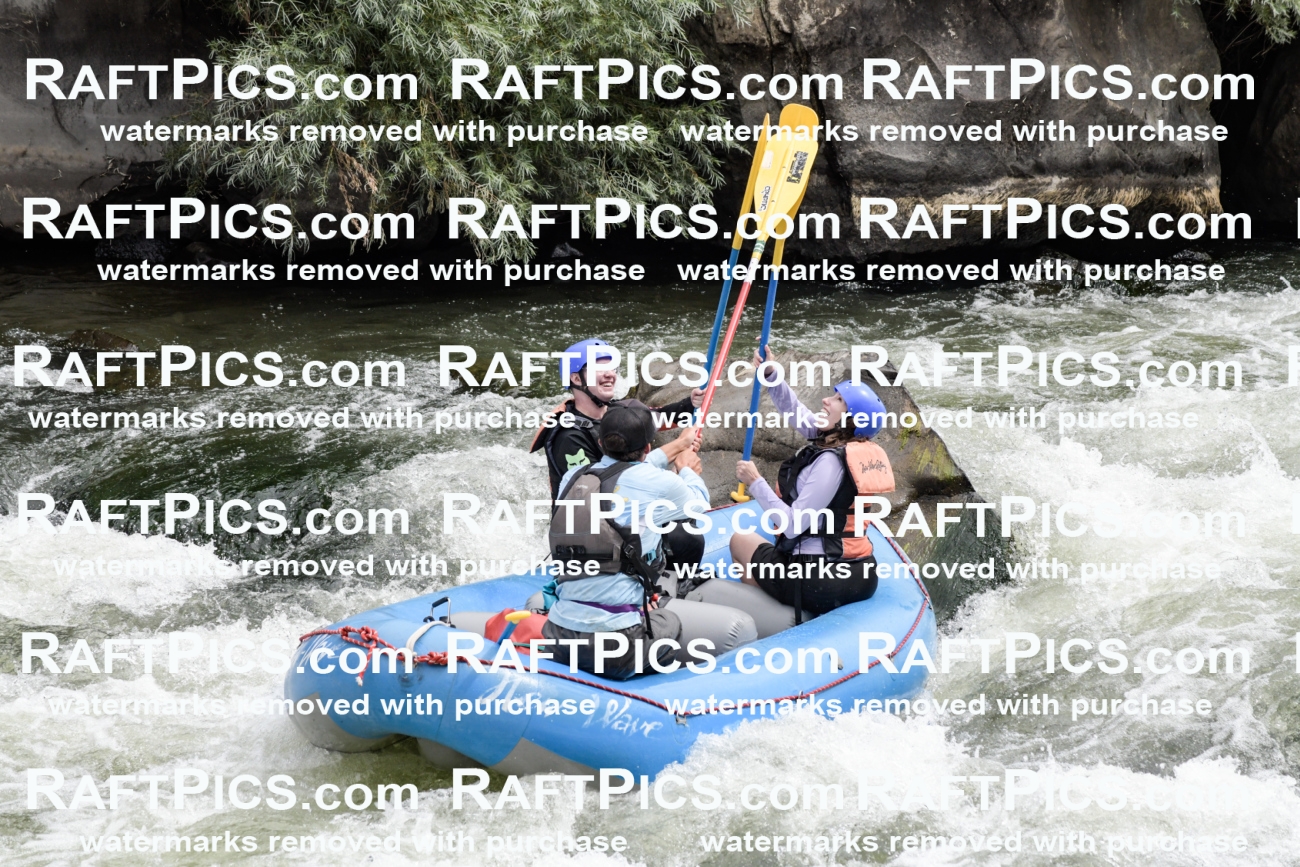 021566_RaftPics_July_21_NewWave_Racecourse_AM_Rui_KA_