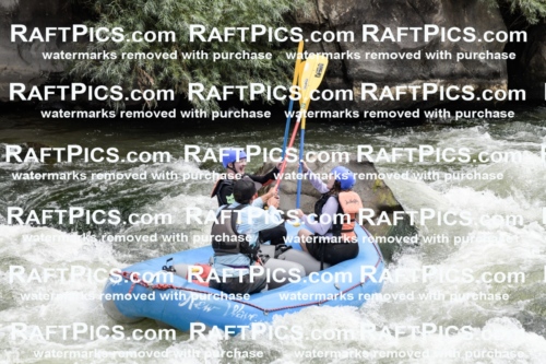 021569_RaftPics_July_21_NewWave_Racecourse_AM_Rui_KA_